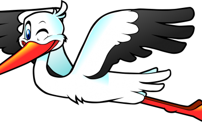 Gólyatábor 5. évfolyam