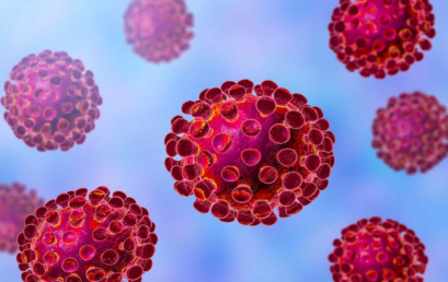 Járványügyi intézkedési terv kiegészítése